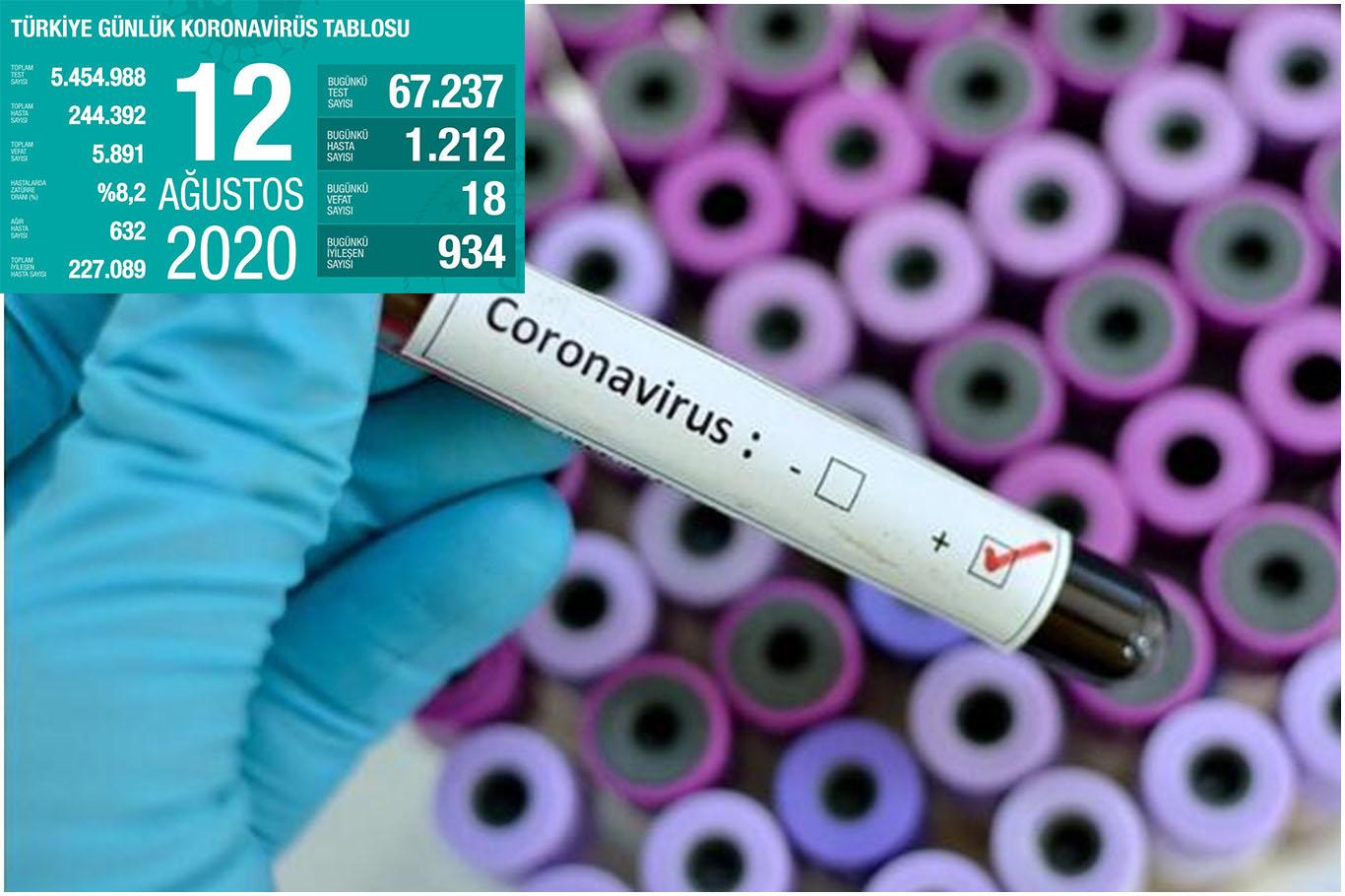 Sağlık Bakanı Koca, 12 Ağustos Coronavirus istatistiğini açıkladı